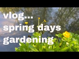 🎨 Painting the Decking & A Peaceful Spring Walk | Vlog & Chat | Cottagecore Lifestyle