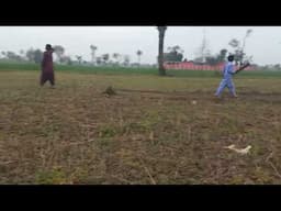 chote bache Cricket Match khel rahe hain
