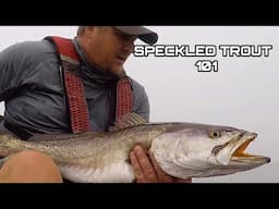 Catching Trophy Speckled Trout ** SPECKLED TROUT 101 **
