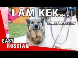 What Pets Do Russians Have? | Easy Russian 101