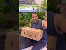 Anyone else get this excited? 🤔🤣#aquariumhobby #plantedtank