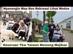 Nyenengin Mas Bos Taiwan Rekreasi Lihat Wedus ⁉️Keseruan TKW TAIWAN Momong Majikan
