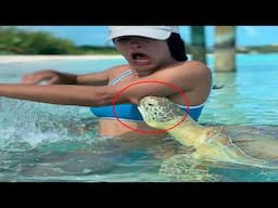 Damn Nature You Scary | Rare & Scary Animal Encounters 😱 #18