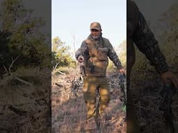 Nothing like Archery Elk! #archery #awesome