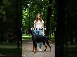 3 Dog Breeds Born With Courage Built In…