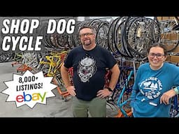 Inside the WORLD'S LARGEST Bicycle Parts Reseller - Shop Dog Cycle Vintage Bike Parts Ebay Store!!