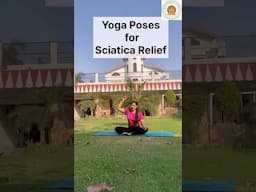 Asanas for Sciatica relief🧘♀️ #sciaticarelief #ytshorts #yogaforpainrelief
