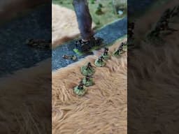 Chain of Command 2: Eastern Front 1944 #ChainofCommand #spreadthelard