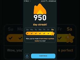 I Reached 950 Day Steak On Duolingo