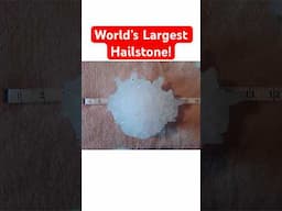 World’s Largest Hailstone! #stormchasing #tornado #hail #weather #severeweather