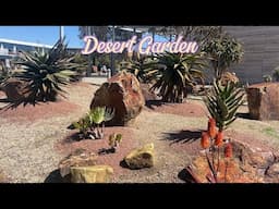OCC -  Desert Garden  - April 2025