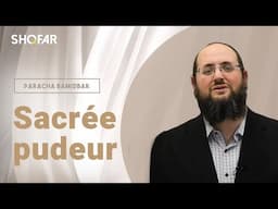 Sacrée pudeur- Paracha Bamidbar par Rav Shmuel Elikan