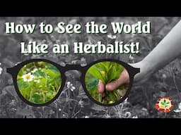 A better way manage your weeds