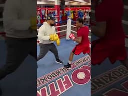 Can You Beat a Pro Boxer With One Hand?