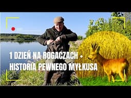 1 dzień na rogaczach i historia pewnego myłkusa