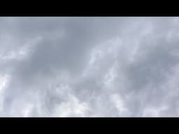 Out for a Walk and General Updates: PART 1