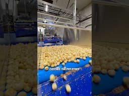 The biggest Upgrade on our Farm #farming