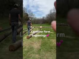 We are starting a lavender farm💕 #babygoats #garden #shorts