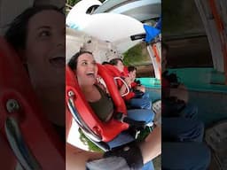 take a ride on Alpengeist at Busch Gardens. Williamsburg