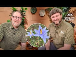 Pollinator and Plant Partnership: Sean Griffin, Wildflower Center