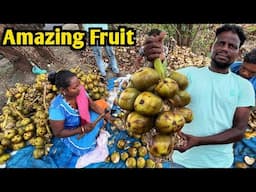 Amazing Street Fruit Ice Apple in Surat | Tadgola Fruit Cutting Skills | Tadgola Khane ke Fayade