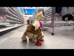 Shopping For Duck Outfits