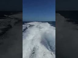 Key West Express boat ride from Ft Myers  to the keys.