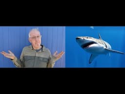 Will using expensive Shark Skin solve my leaking roof problems?