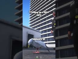 GTA 5 as a Bird 😮