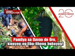 Pamilya sa Davao de Oro, kinuyog ng libu-libong bubuyog! | Kapuso Mo, Jessica Soho