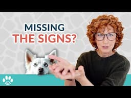 Are You IGNORING Your Pet's Afterlife Signs?