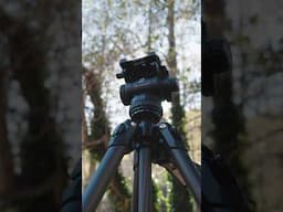 Best TRIPOD for Run and Gun Filmmaking?