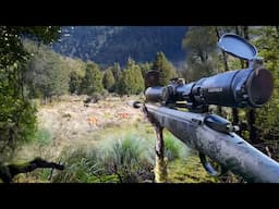 The Best Hunt of My Life! 8 Days Solo 2025