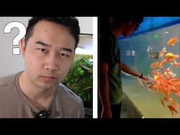 Fish tank videos if you didn't see it you won't believe | Fish Tank Review 308