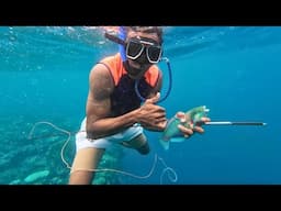 Quick Spearfishing Trip In The Afternoon In Yasawa🇫🇯