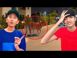 Muj sy Vampire ki Cow bagh gi!