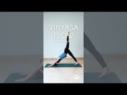 25-Minute Vinyasa Flow