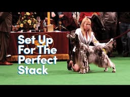 Setting Up for the Perfect Stack