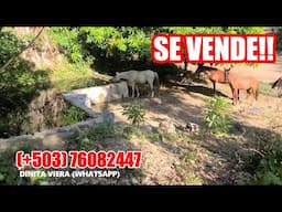 1 39 DE MANZANA $43,000 NEGOCIABLES EN SANTA ANA
