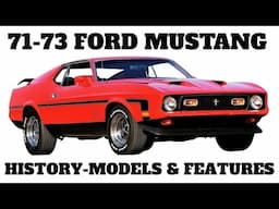 1971 1973 Mustang -  EVERYTHING You Wanted To Know Video