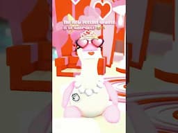 THE NEW PETTING UPDATE IS SO CUTE! 😍