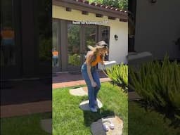 Sony Treats