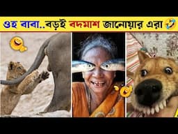 ওহ কি অস্থির প্রাণী এরা 🤣 হাসি থামবে না গ্যারেন্টি 😂 প্রাণীদের মজাদার ভিডিও 😂 Animal Moments P 103