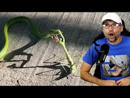 Daily Dose Of Internet Reaction Part 1 Reaction