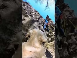 🐕🧗🥹