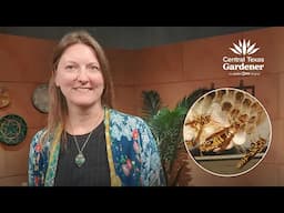 Difference Between Wasps, Mud Daubers & Yellow Jackets