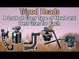 Tripods Head and a Look at Each Type and Their Best Uses
