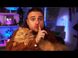 How old am I now? - Birthday Stream