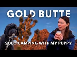 Solo Camping in the Desert with my puppy - Gold Butte National Monument, NEVADA