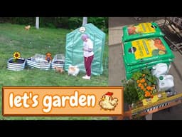 building garden beds & planting crops! 🌾 | garden vlog |